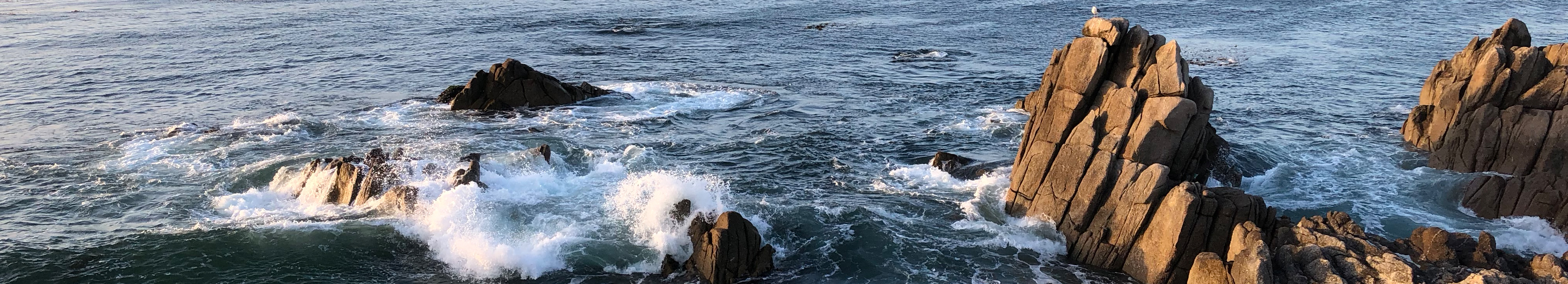 Waves on rocks at sunset, Lovers Point, Pacific Grove, CA