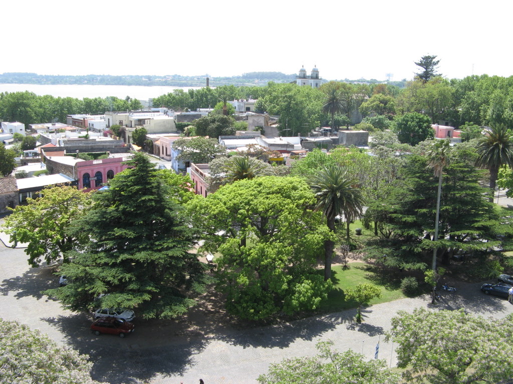 Colonia